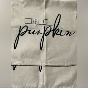 NWOT Pillow Covers HELLO PUMPKIN Zipper Closure Cream Black Square Accent